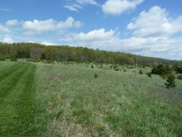 Tbd Cedar Spring Lane Linville, VA 22834 - Photo 2 of 3 Gallery Image 2