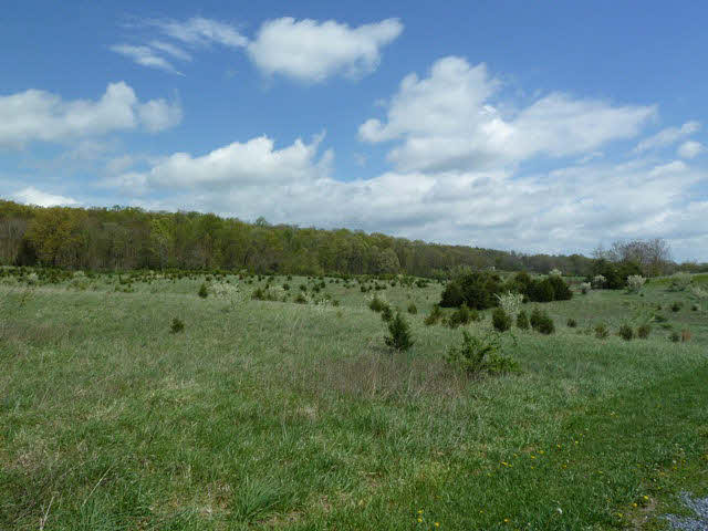 Tbd Cedar Spring Lane Linville, VA 22834 - Photo 3 of 3 Gallery Image 3