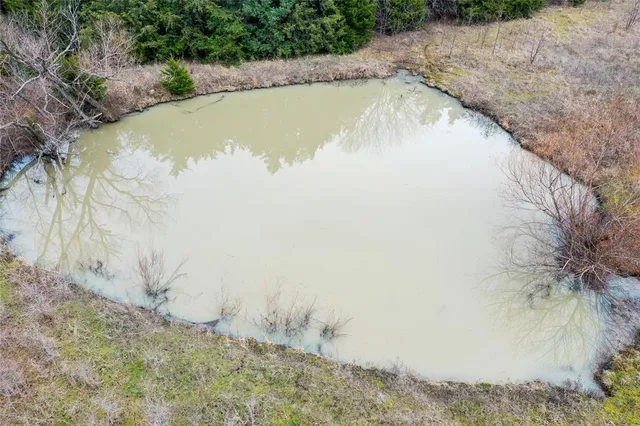 a view of a lake with a large trees and houses in the background