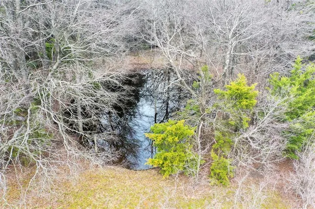 a view of a field with an ocean view