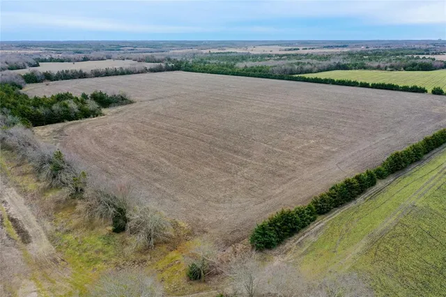 a view of a swimming pool with a yard