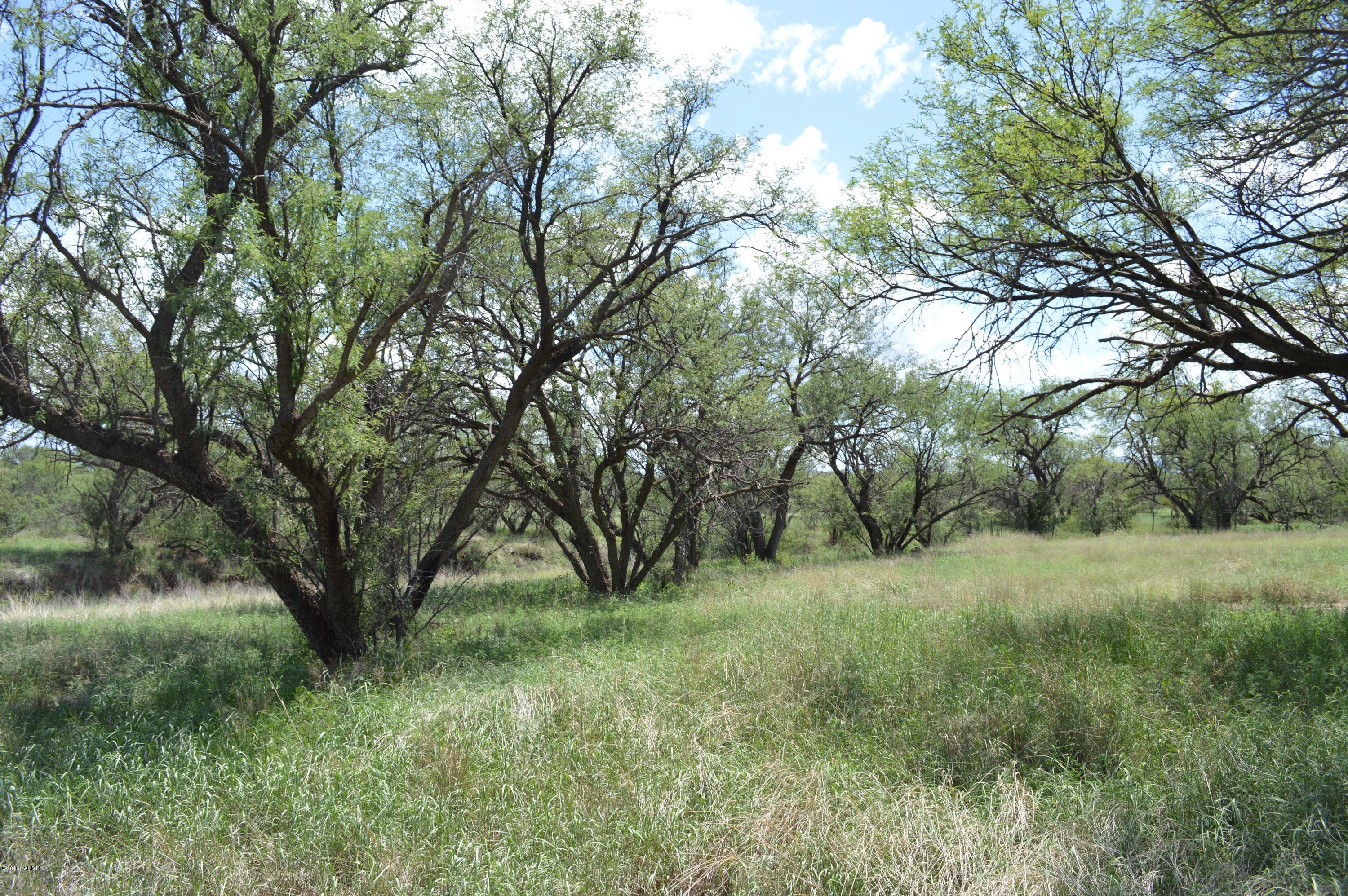 36099 South Jackalope Road Arivaca, AZ 85601 - Photo 8 of 22