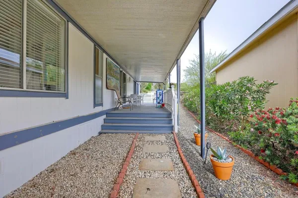 a potted plants sitting on a balcony next to a yard