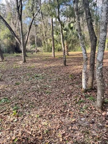 a view of outdoor space with deck and tree