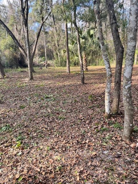 164 Northeast Ne Lane Citra, FL 32113 - Photo 2 of 3