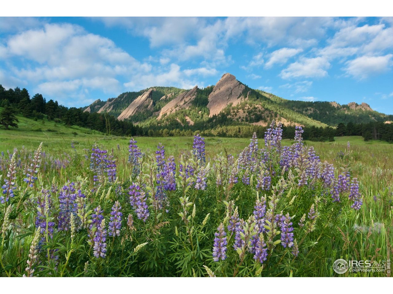 1430 18th Street, Unit 1 Boulder, CO 80302 - Photo 15 of 29 a view of a lake with a houses