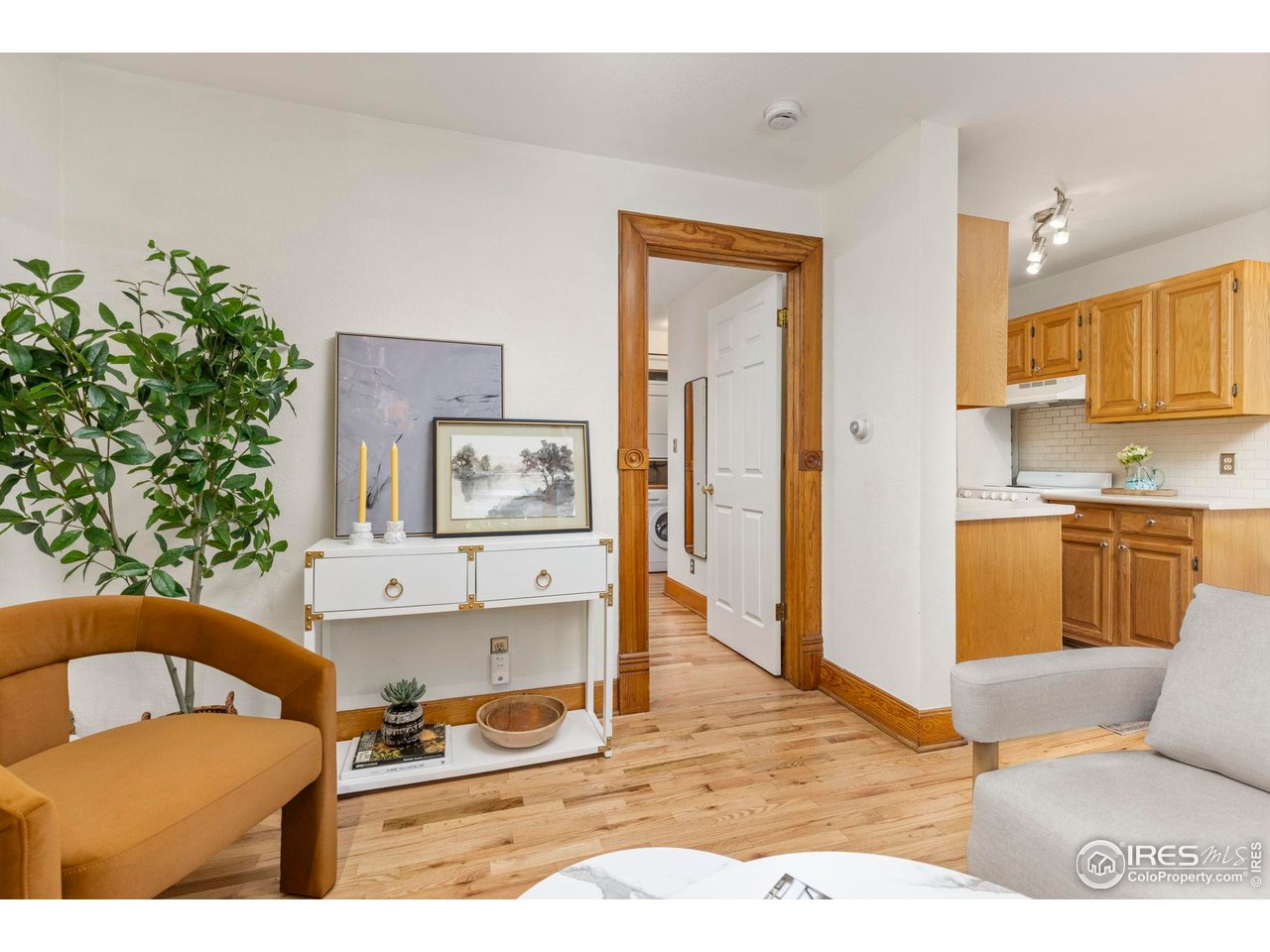 1430 18th Street, Unit 1 Boulder, CO 80302 - Photo 29 of 29 a living room with furniture and a potted plant