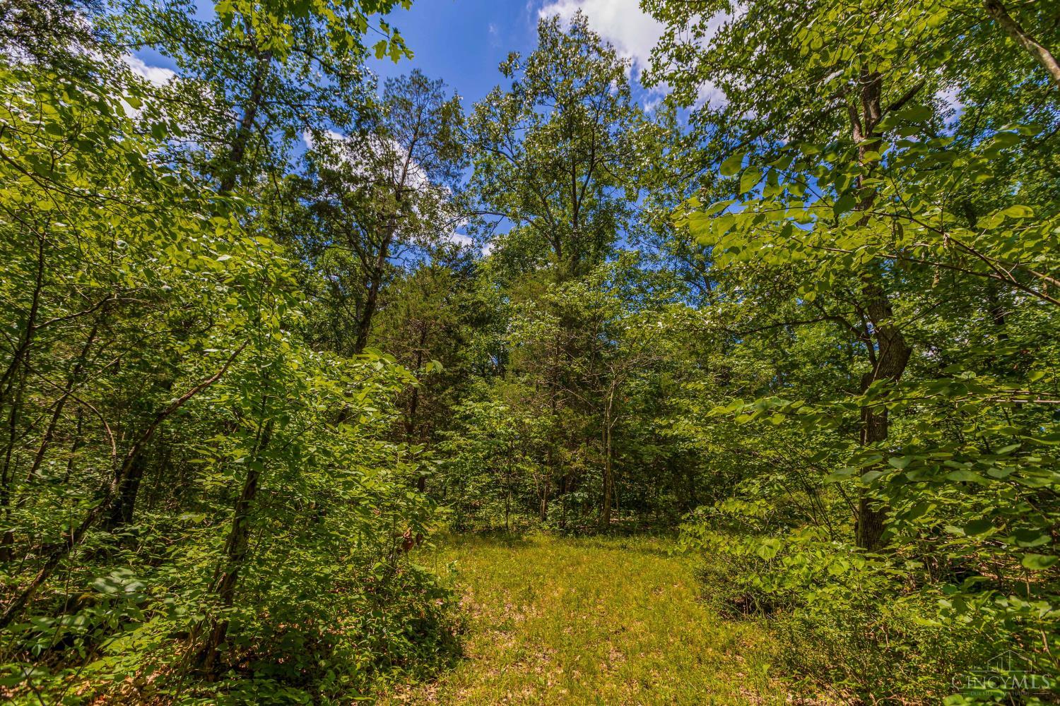 0 Thomas Brown Road Winchester, OH 45697 - Photo 6 of 12