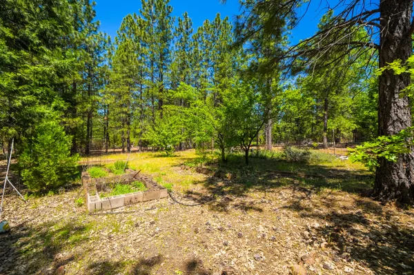 $369,000 | 10648 Honey Bear Lane, Whitmore, CA 96096
