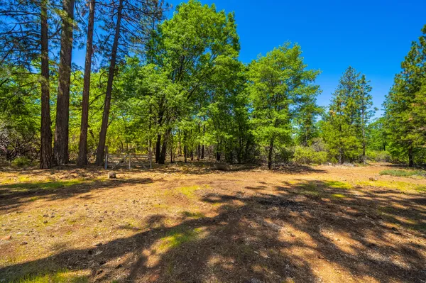 $369,000 | 10648 Honey Bear Lane, Whitmore, CA 96096