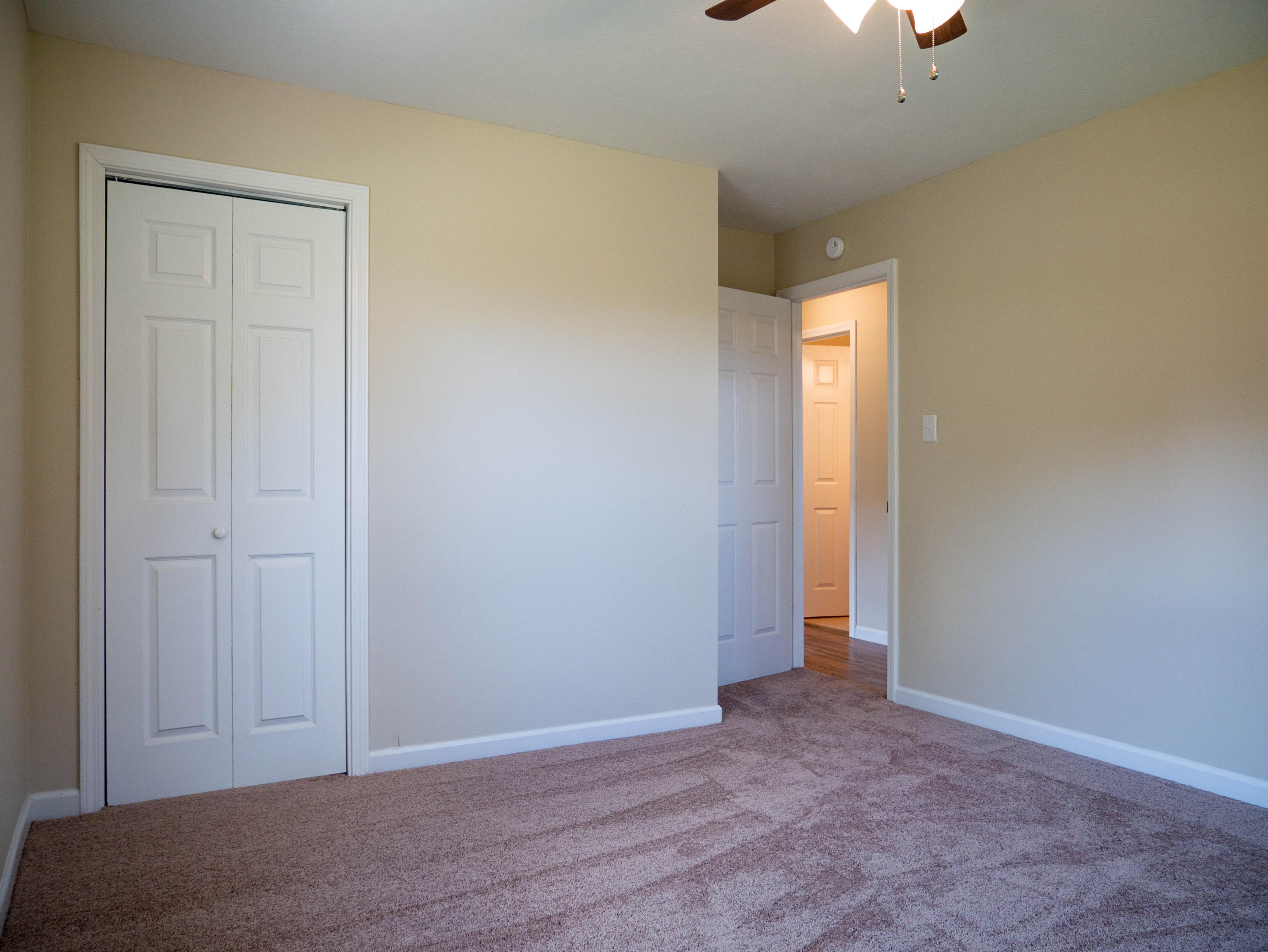 6212 Renee Road Corryton, TN 37721 - Photo 12 of 23 P1070037