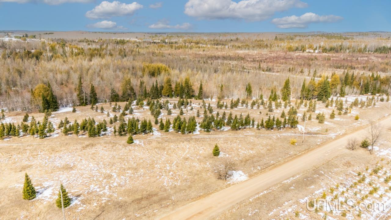 38 Rd Powers Mi 49874 Road Carney, MI 49812 - Photo 9 of 11
