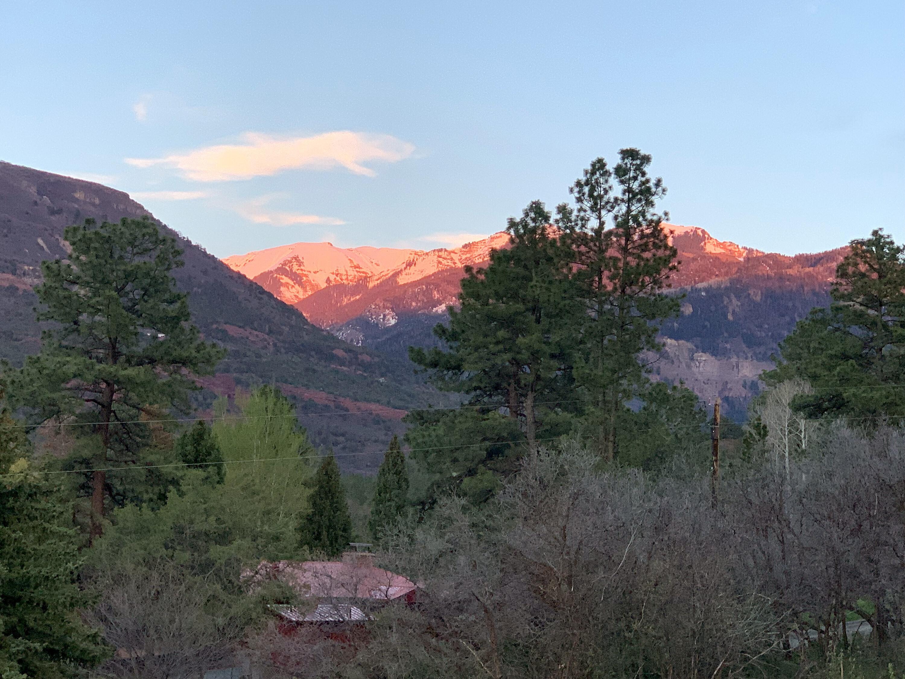 333 Marys Road Ridgway, CO 81432 - Photo 30 of 41 074-333-marys-road-colorado-mountain-hom