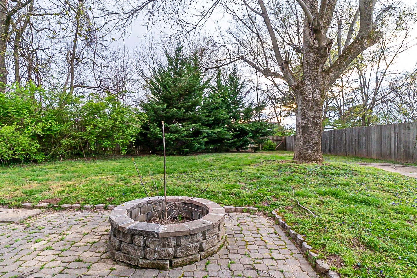 1010 Mitchell Road Nashville, TN 37206 - Photo 24 of 25 a view of a backyard with plants and trees
