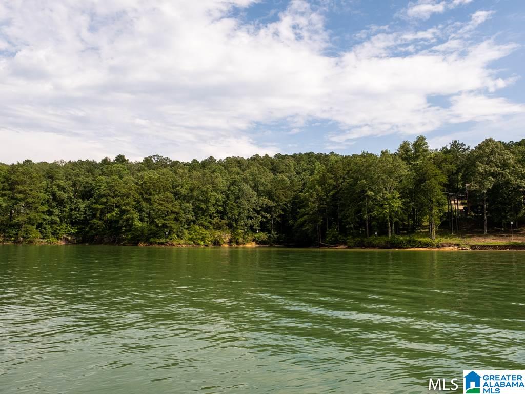 Long Leaf Road, Unit 9 Double Springs, AL 35553 - Photo 9 of 15