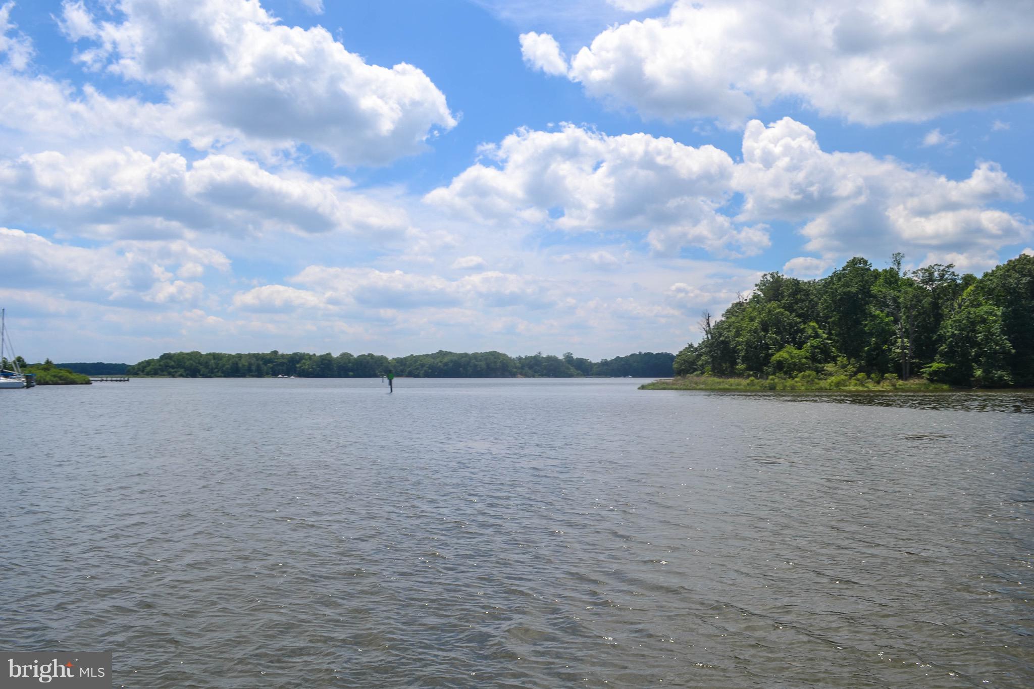 3962 Germantown Road Edgewater, MD 21037 - Photo 52 of 52 Views of protected shoreline on Rhode River!