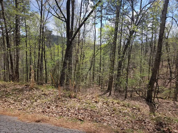 $30,000 | 135 Adair Drive, Ranger, GA 30734