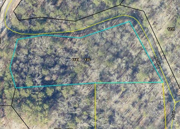 135 Adair Drive Ranger, GA 30734 - Photo 2 of 7