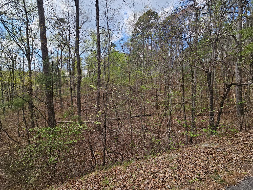 135 Adair Drive Ranger, GA 30734 - Photo 3 of 7 a view of a pathway of a yard