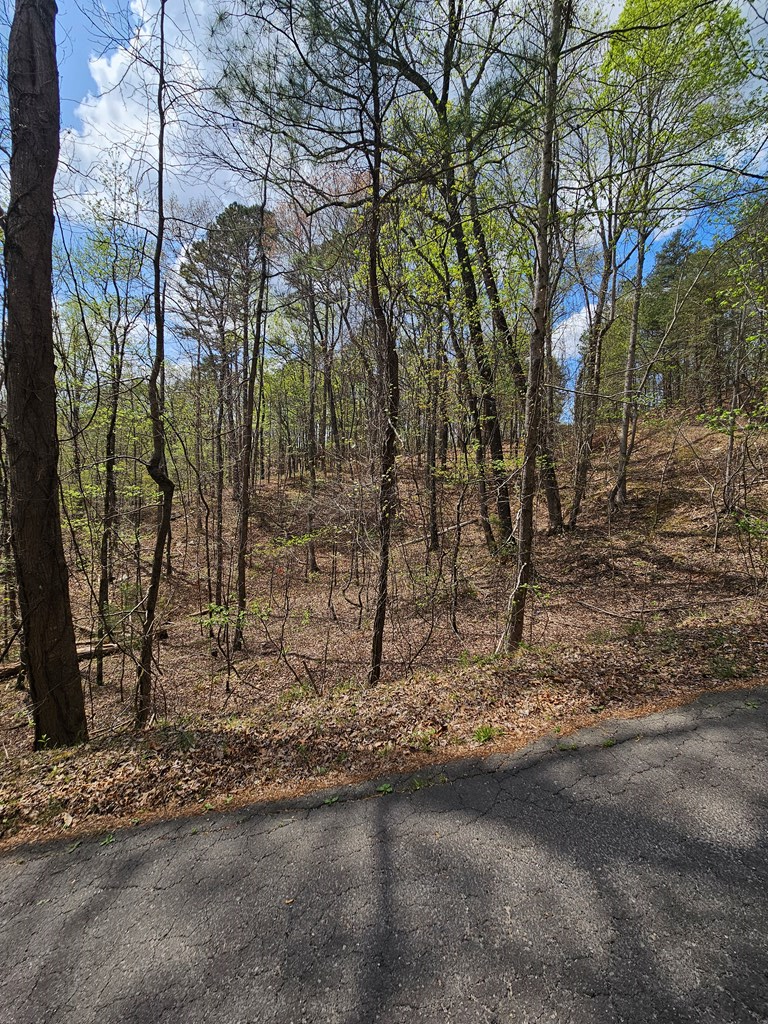 135 Adair Drive Ranger, GA 30734 - Photo 4 of 7 a view of a yard with trees