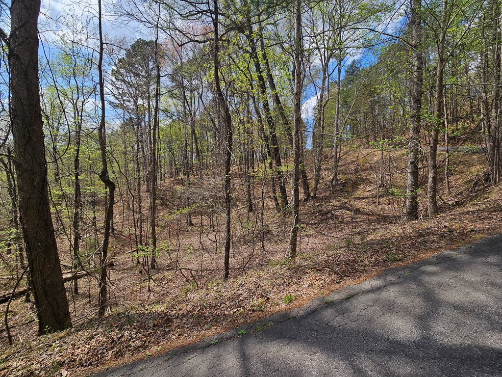135 Adair Drive Ranger, GA 30734 - Photo 5 of 7 a view of a yard with large trees