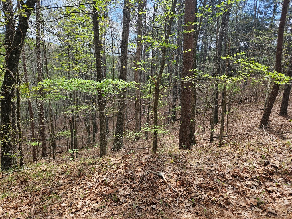 135 Adair Drive Ranger, GA 30734 - Photo 7 of 7 a backyard of a house with lots of green space