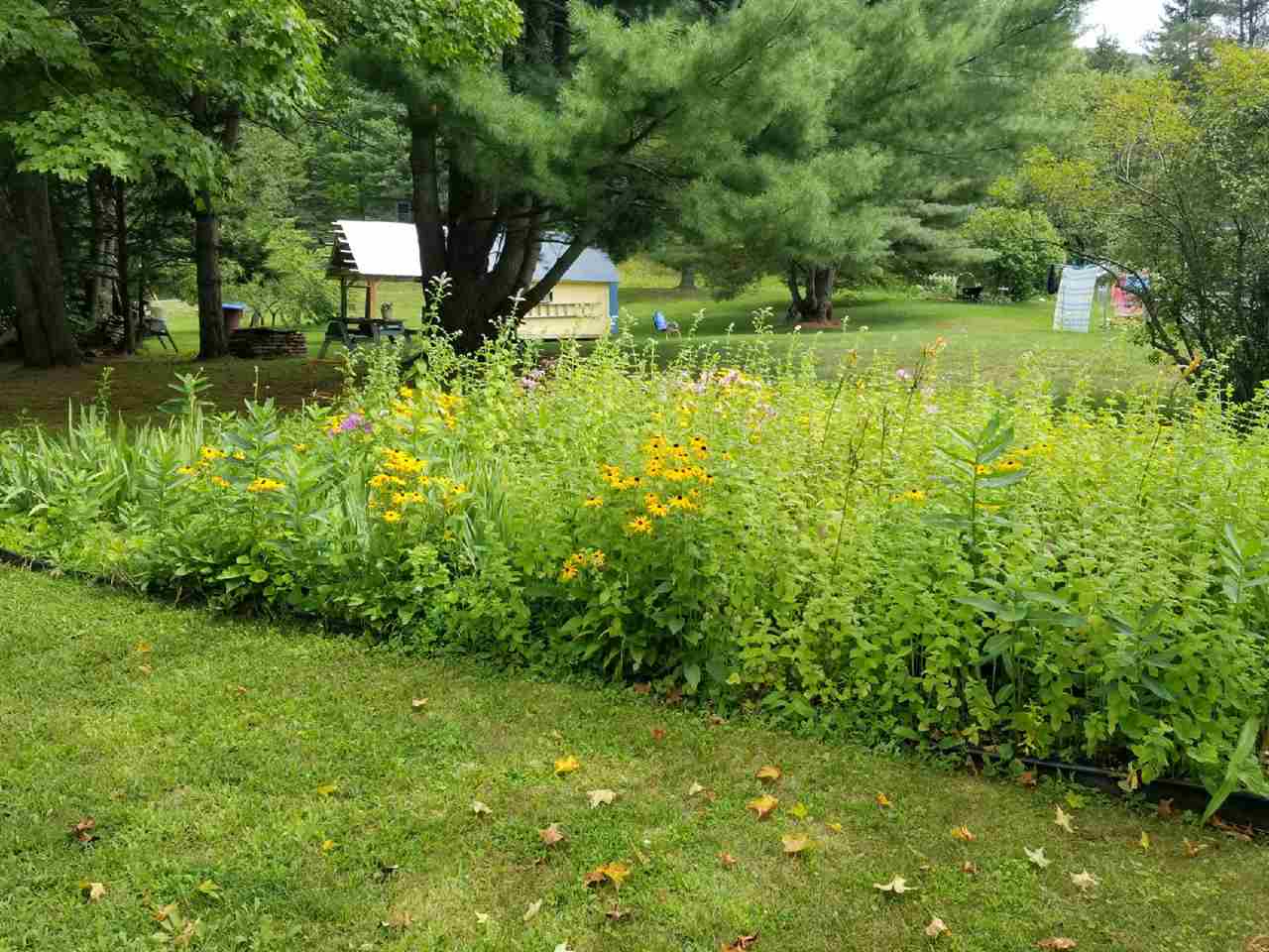 8 Taylor Drive Springfield, VT 05156 - Photo 2 of 23