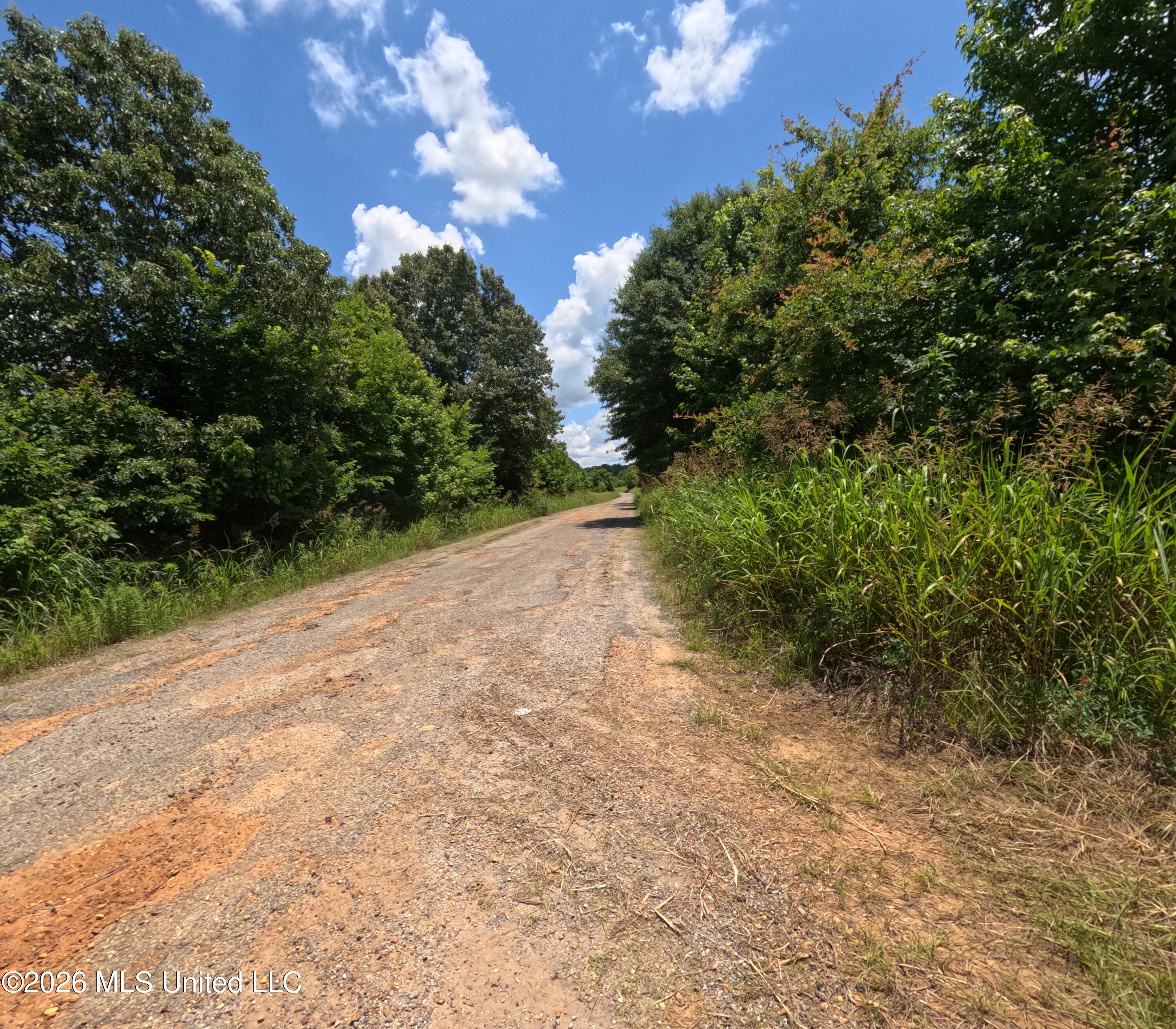Old Port Edwards, MS 39066 - Photo 15 of 65 GOPR2269