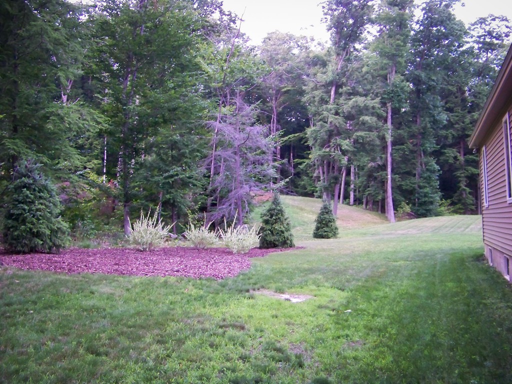 80 Rindge Turnpike Ashburnham, MA 01430 - Photo 4 of 30 a view of a back yard
