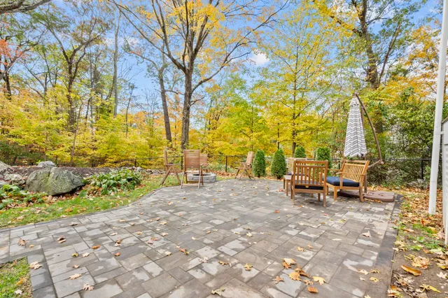 a view of a yard with plants