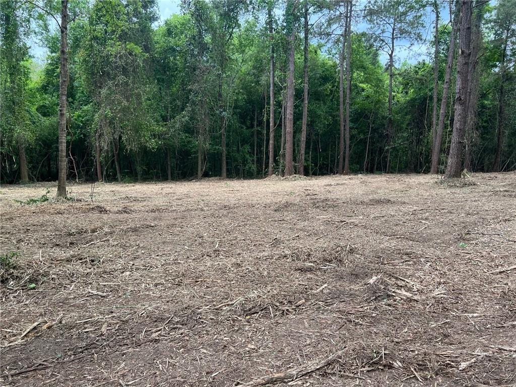 0 Dad Penton Road Bush, LA 70431 - Photo 1 of 7