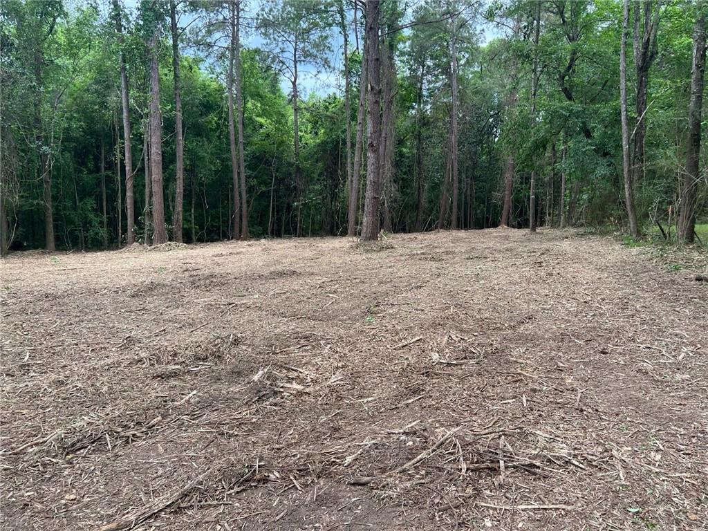 0 Dad Penton Road Bush, LA 70431 - Photo 6 of 7