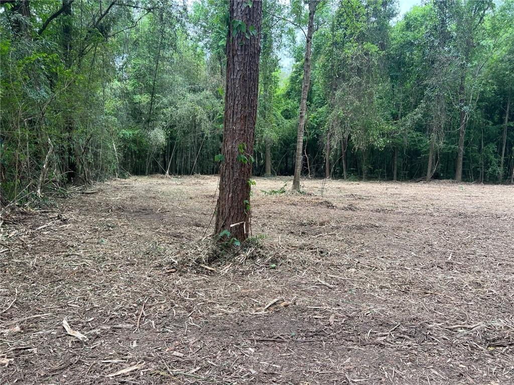 0 Dad Penton Road Bush, LA 70431 - Photo 7 of 7