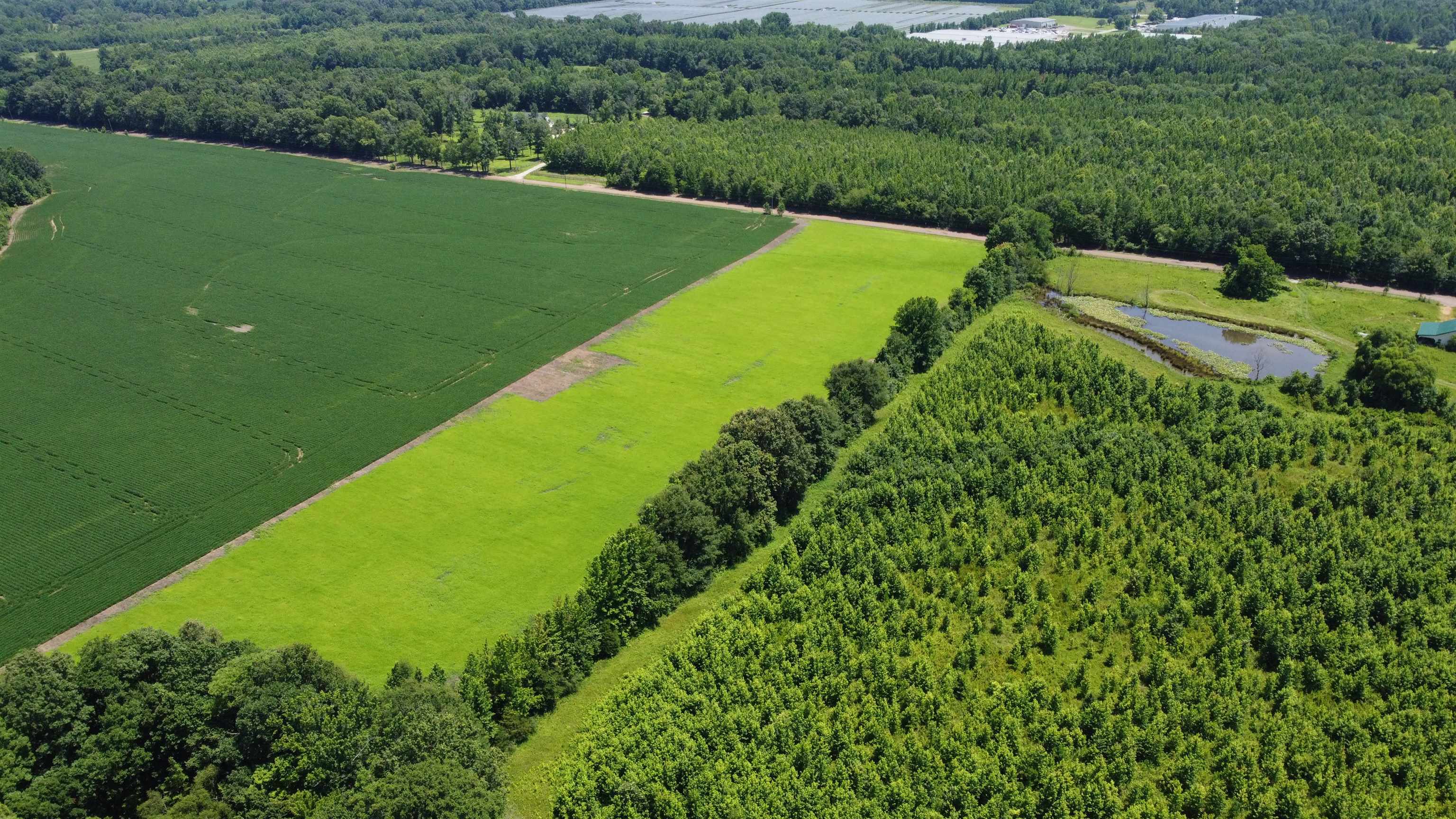 20-acres Liberty Road Moscow, TN 38057 - Photo 4 of 9
