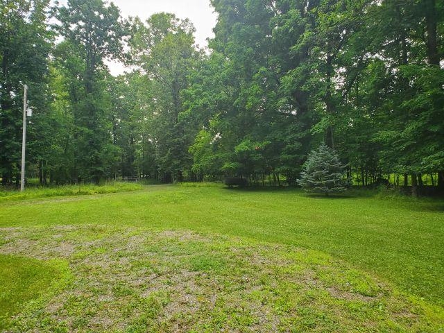 5363 Keystone Road Turner, MI 48765 - Photo 4 of 39