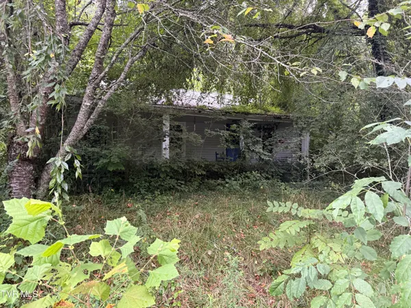 $30,000 | 730 Taggart Avenue, Big Stone Gap, VA 24219