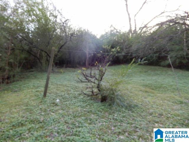 4024 Troy Terrace Bessemer, AL 35020 - Photo 16 of 18