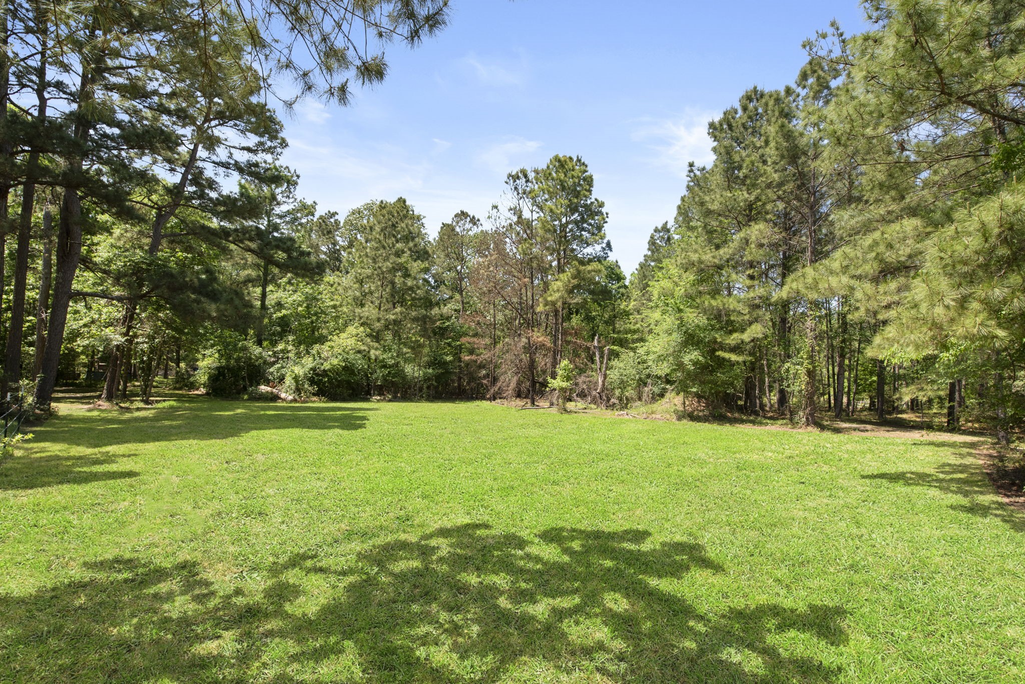 2814 Farm To Market Road 356 Trinity, TX 75862 - Photo 13 of 39 a view of a grassy field with trees