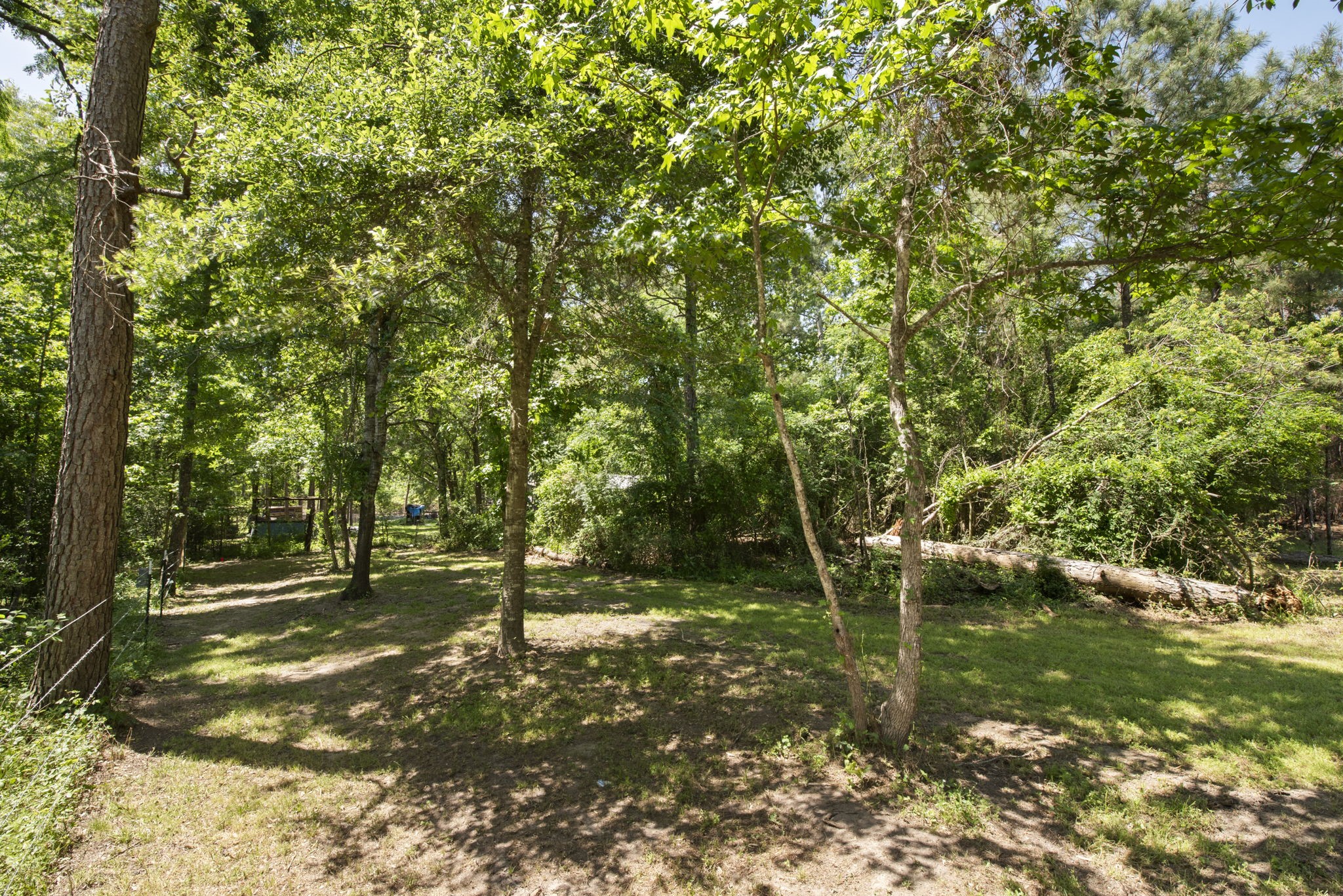 2814 Farm To Market Road 356 Trinity, TX 75862 - Photo 14 of 39