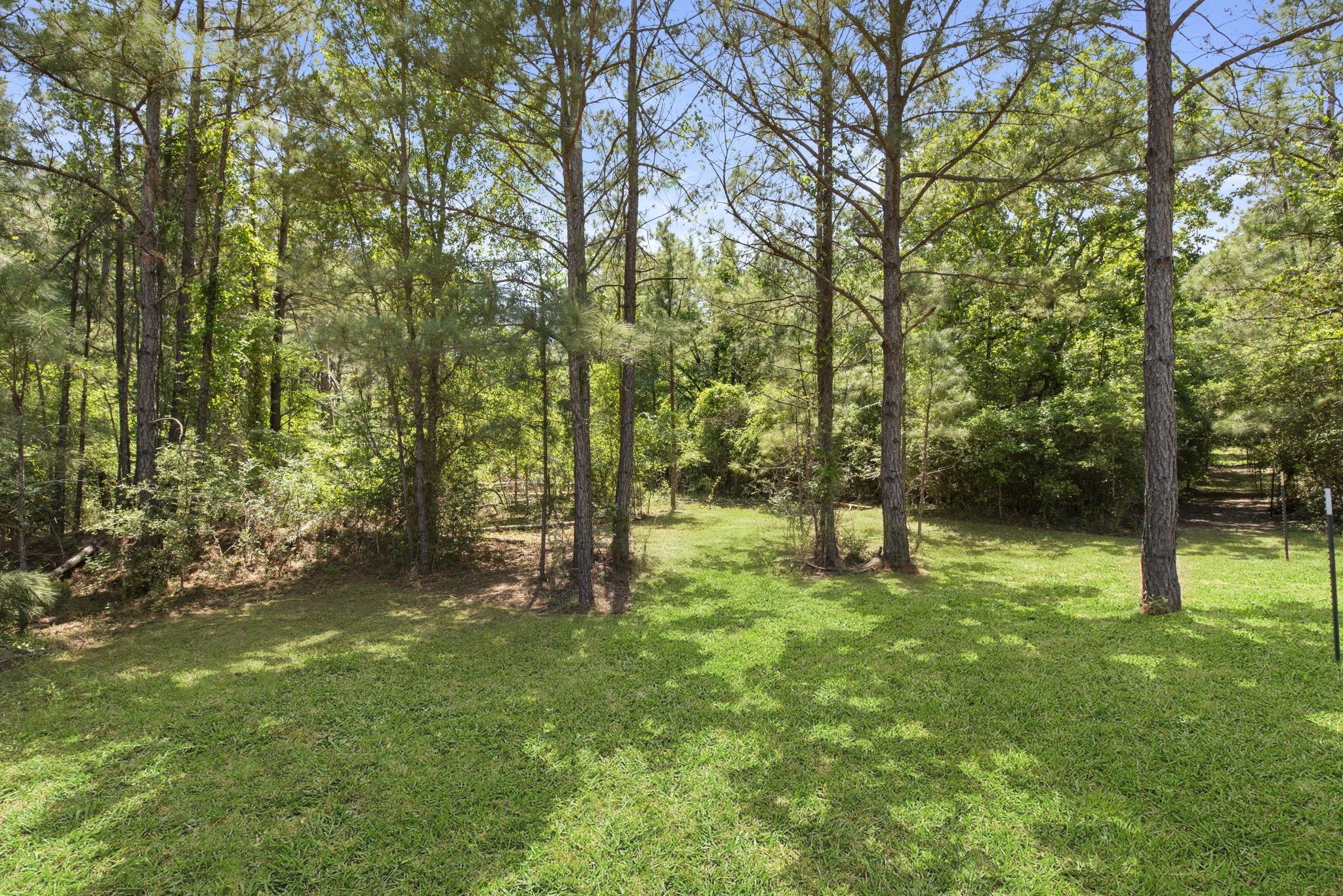 2814 Farm To Market Road 356 Trinity, TX 75862 - Photo 17 of 39 a green field with lots of trees