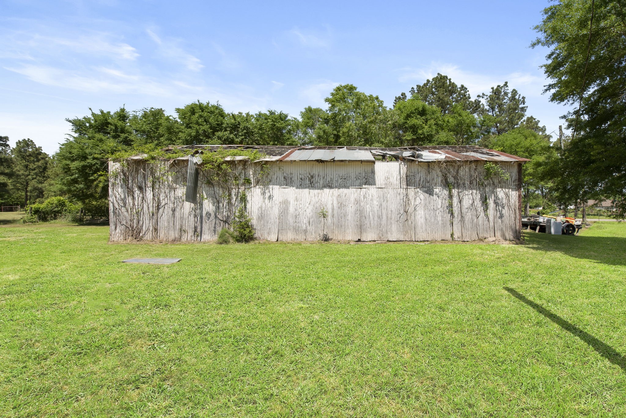 2814 Farm To Market Road 356 Trinity, TX 75862 - Photo 9 of 39 a backyard of a house with lots of green space
