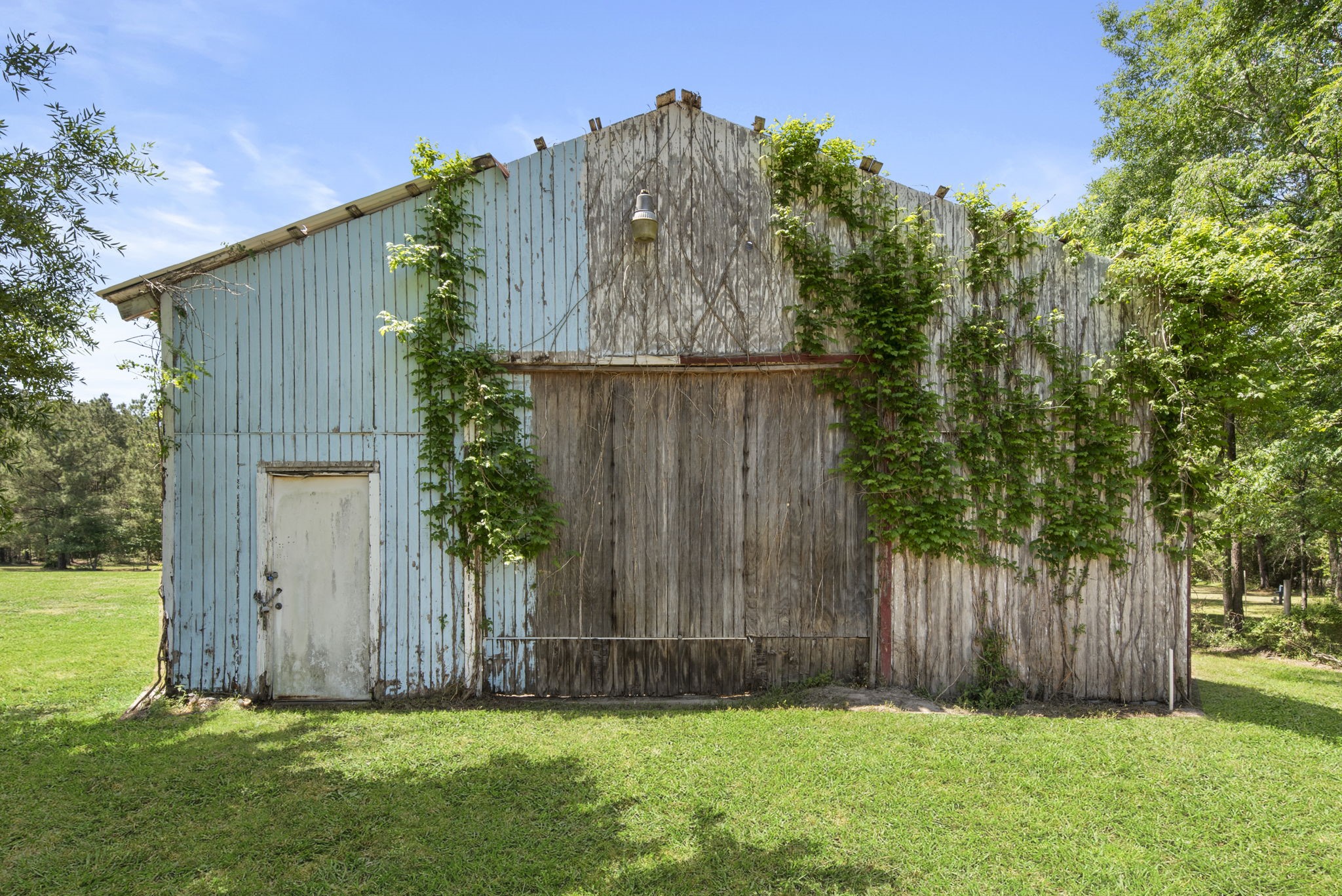 2814 Farm To Market Road 356 Trinity, TX 75862 - Photo 10 of 39 a view of garden