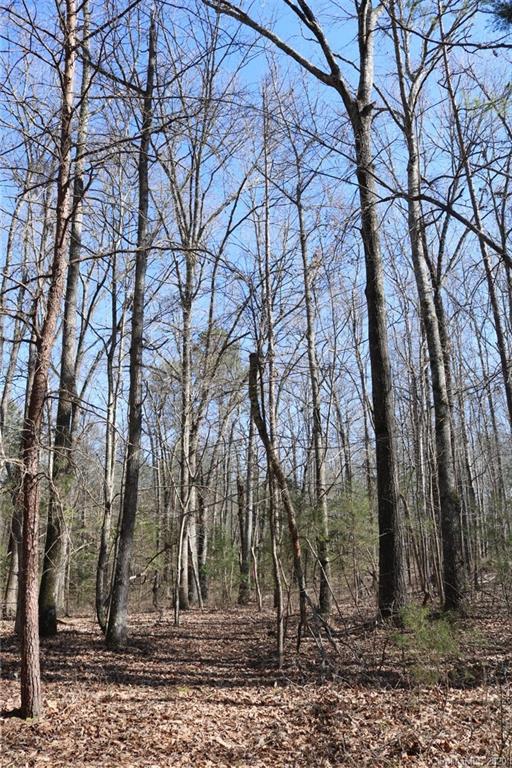0 Gordon Road Rock Hill, SC 29732 - Photo 3 of 10 Gallery Image 3