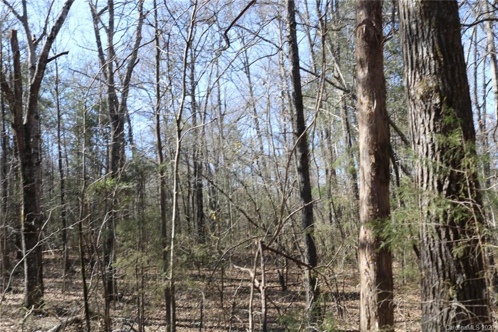 0 Gordon Road Rock Hill, SC 29732 - Photo 5 of 10 Gallery Image 5