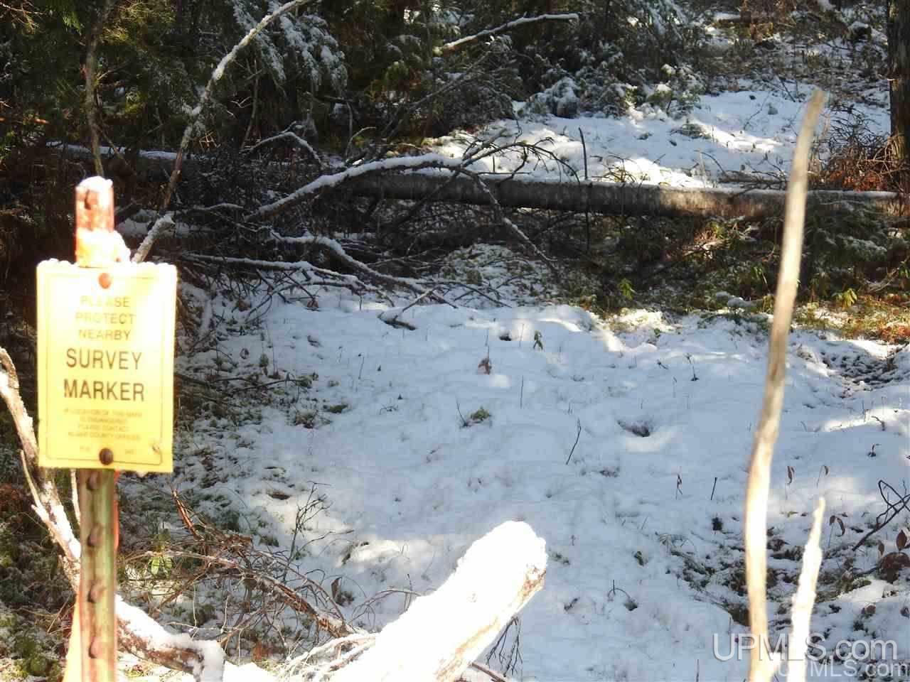 Tbd East H-58 Road Grand Marais, MI 49839 - Photo 11 of 18 Gallery Image 11