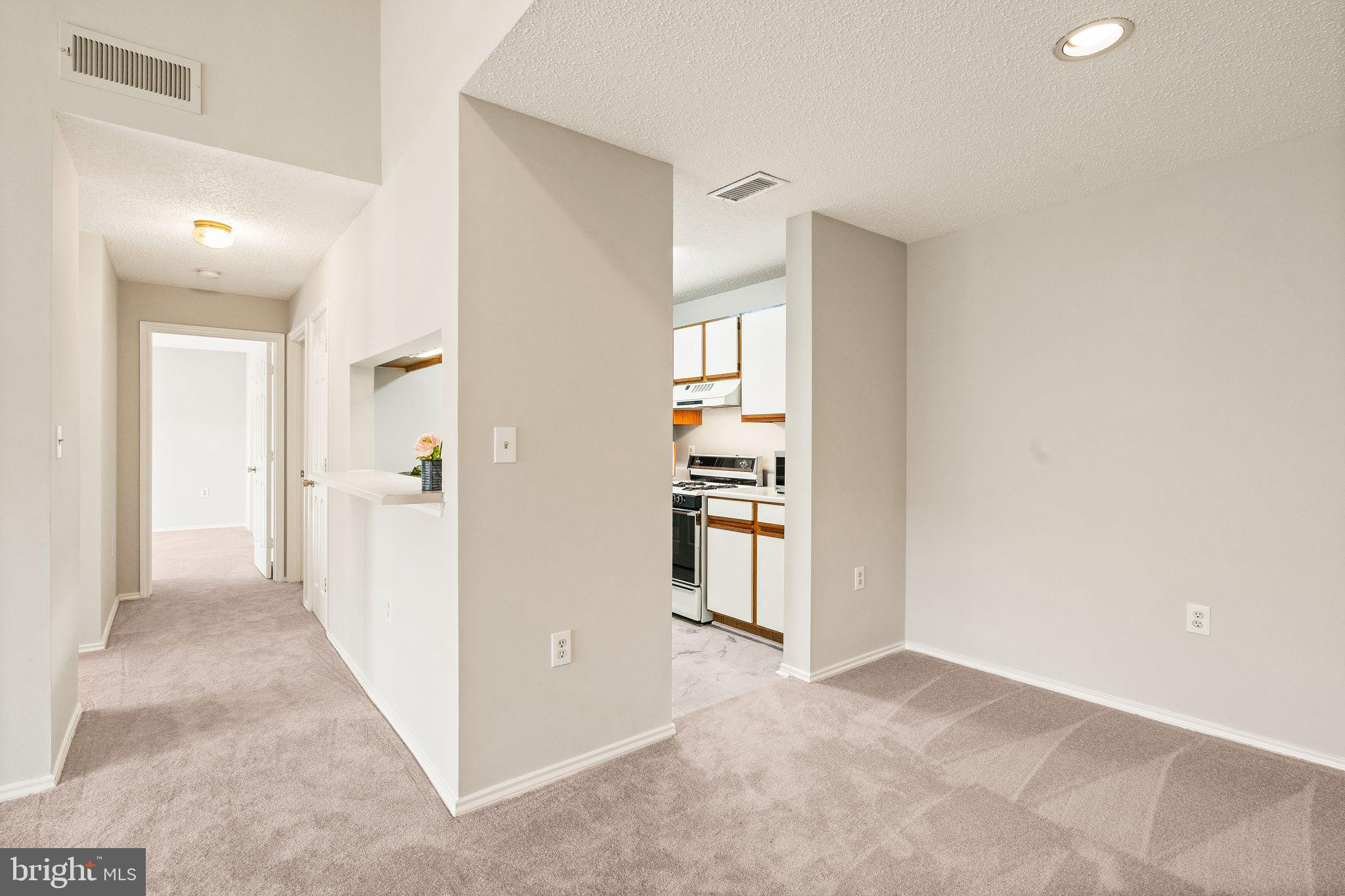20951 Timber Ridge Terrace, Unit 304 Ashburn, VA 20147 - Photo 8 of 38 View from Entry