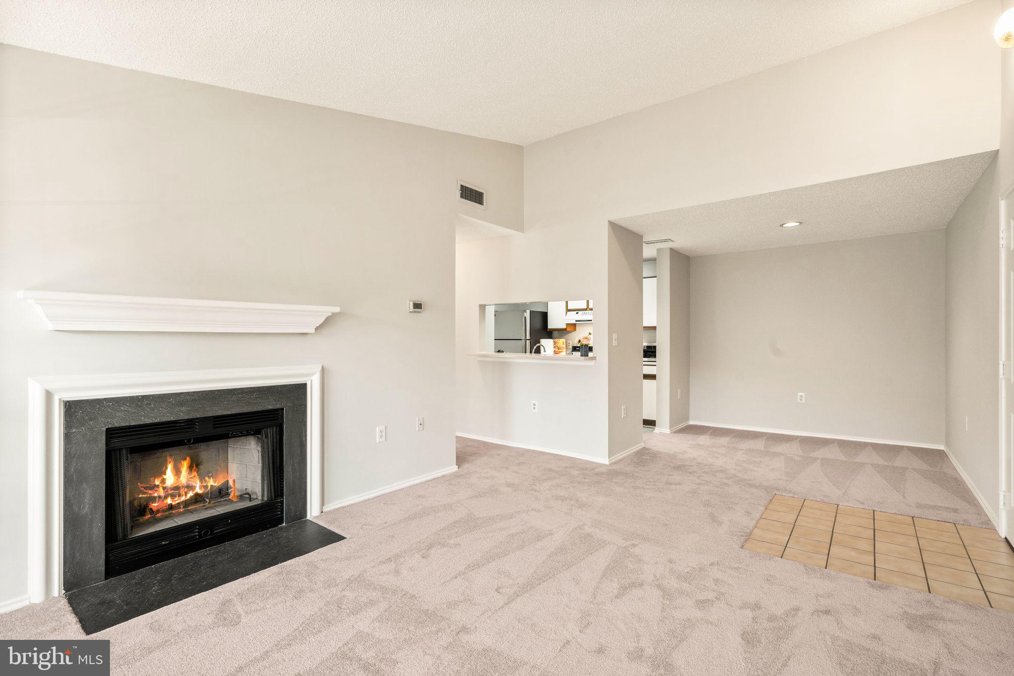 20951 Timber Ridge Terrace, Unit 304 Ashburn, VA 20147 - Photo 9 of 38 wood burning fireplace