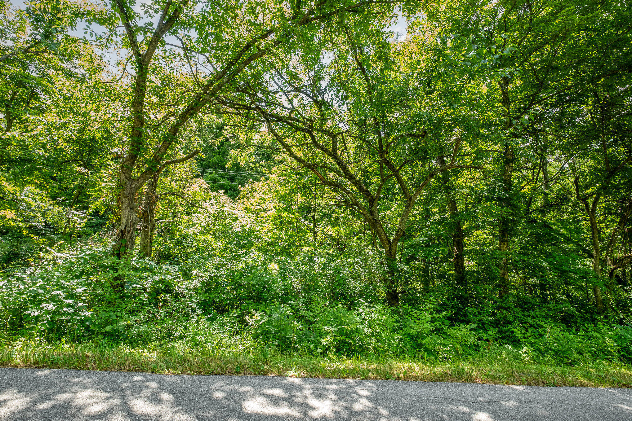 11950 Mann Road Morning View, KY 41063 - Photo 7 of 14