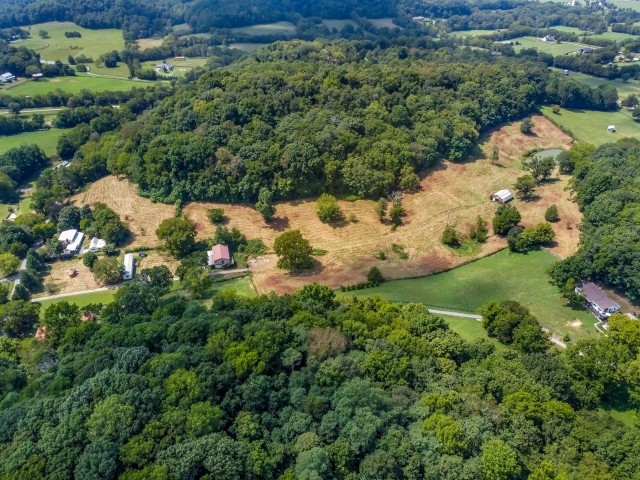 3442 Sweeney Hollow Road Franklin, TN 37064 - Photo 4 of 15 a view of a lush green field