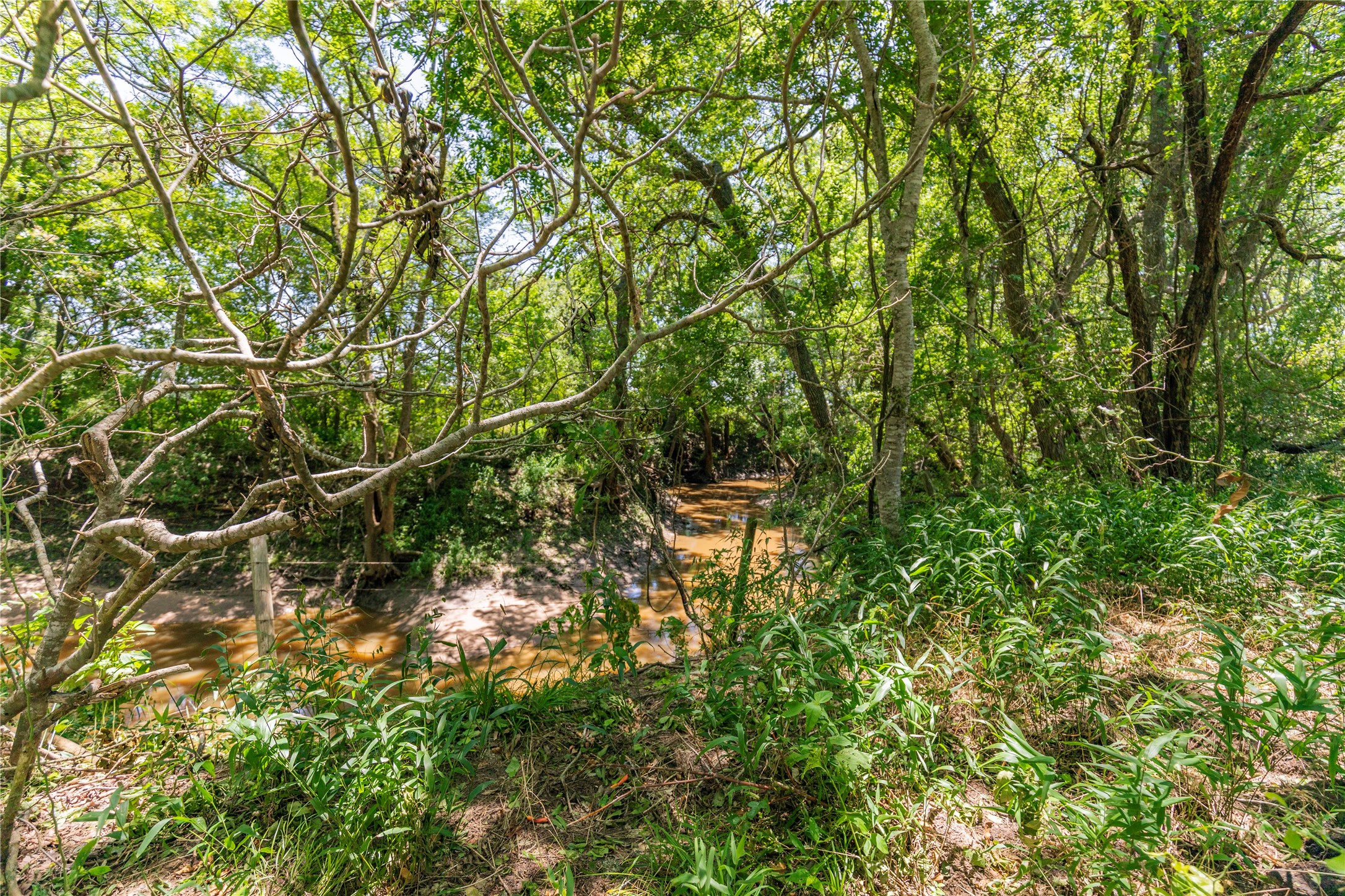 Lot 8 Mill Creek Ranch Road Bellville, TX 77418 - Photo 10 of 20